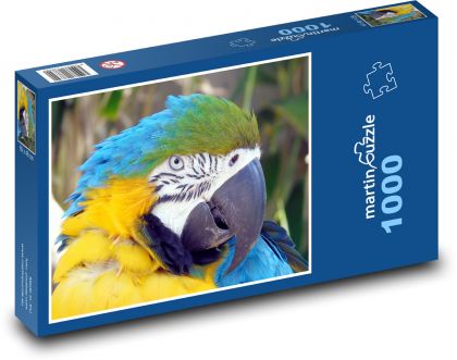 Papoušek - pták, pírko - Puzzle 1000 dílků, rozměr 60x46 cm