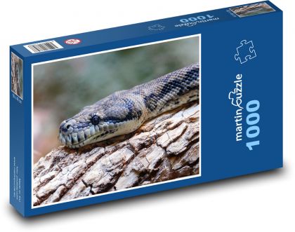 Had - plaz, zvíře - Puzzle 1000 dílků, rozměr 60x46 cm
