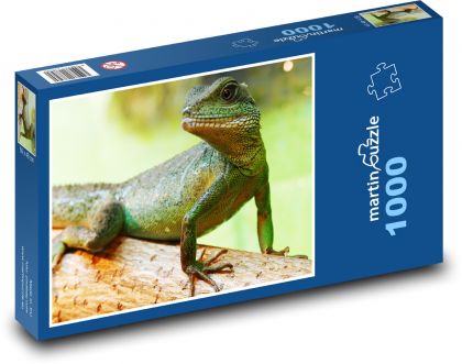 Jašterica - plaz, zviera - Puzzle 1000 dielikov, rozmer 60x46 cm