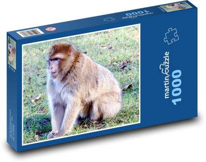 Opice - makak, divoká zvěř - Puzzle 1000 dílků, rozměr 60x46 cm