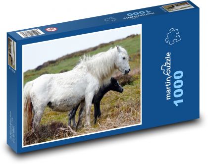 Klacz - koń, zwierzę - Puzzle 1000 elementów, rozmiar 60x46 cm
