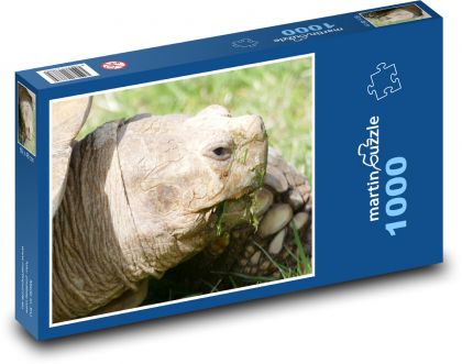 Korytnačka - plaz, zviera - Puzzle 1000 dielikov, rozmer 60x46 cm