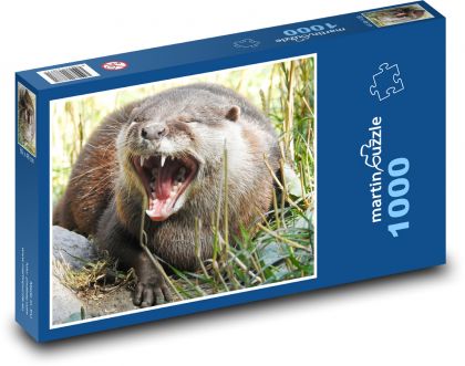 Vydra - voľne žijúce zviera, predátor - Puzzle 1000 dielikov, rozmer 60x46 cm