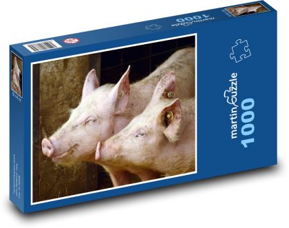Prasa - zemědělství, zvířata  - Puzzle 1000 dílků, rozměr 60x46 cm