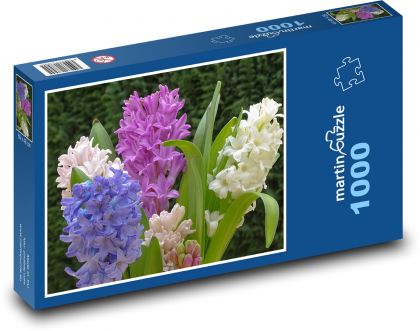 Hyacint - jarné kvety, rastlina - Puzzle 1000 dielikov, rozmer 60x46 cm