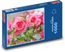 Růže růžová - květ, rostlina  Puzzle 1000 - 60x46 cm