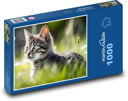 Kočka - kotě, mazlíček - Puzzle 1000 dílků, rozměr 60x46 cm