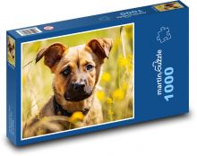 Štěně - mazlíček, pes Puzzle 1000 dílků - 60 x 46 cm