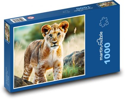 Lvíče - lev, mládě - Puzzle 1000 dílků, rozměr 60x46 cm