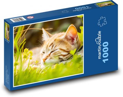 Spící kočka - mládě, zvíře - puzzle 1000 dílků