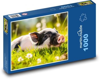 Sele - prase, pastvina - Puzzle 1000 dílků, rozměr 60x46 cm