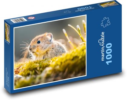 Myš - hlodavec, zviera - Puzzle 1000 dielikov, rozmer 60x46 cm