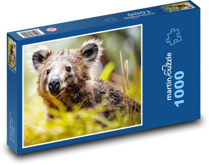 Koala - niedźwiedź, ssak - Puzzle 1000 elementów, rozmiar 60x46 cm