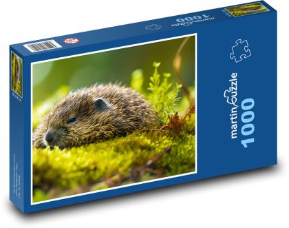 Wydra - zwierzę, natura - Puzzle 1000 elementów, rozmiar 60x46 cm