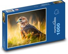 Orel - pták, peří Puzzle 1000 dílků - 60 x 46 cm