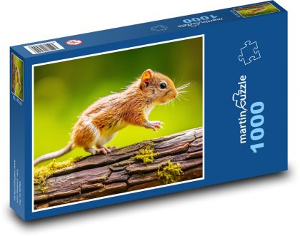 Mouse on a branch - rodent, animal - Puzzle 1000 pieces, size 60x46 cm 