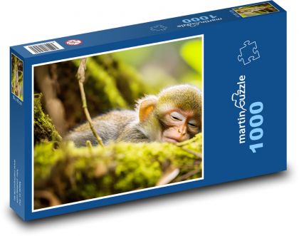 Spící opička - zvíře, strom - Puzzle 1000 dílků, rozměr 60x46 cm