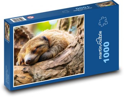 Lenochod - strom, savec - puzzle 1000 dílků
