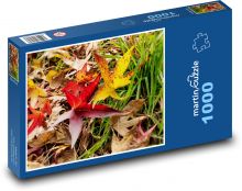 Leaves - autumn, grass Puzzle 1000 pieces - 60 x 46 cm 