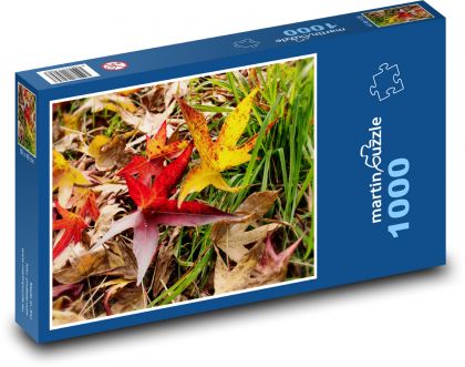 Listy - podzim, tráva - Puzzle 1000 dílků, rozměr 60x46 cm