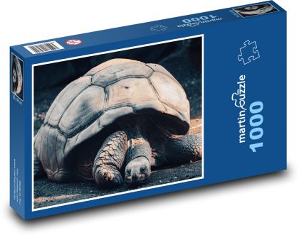Galapágská obří želva - plaz, zvíře - Puzzle 1000 dílků, rozměr 60x46 cm