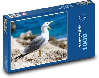 Seagull - bird, coast - Puzzle 1000 pieces, size 60x46 cm 