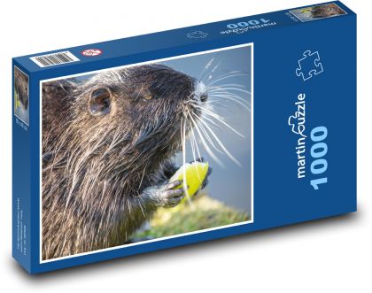 Nutrie - hlodavec, savec - puzzle 1000 dílků