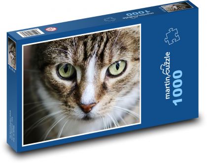 Kočka - oči - Puzzle 1000 dílků, rozměr 60x46 cm