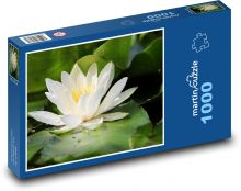 Lekná - vodná rastlina, kvetina Puzzle 1000 dielikov - 60 x 46 cm 