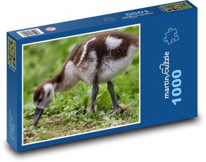 Egyptian goose - cub, house - Puzzle 1000 pieces, size 60x46 cm 