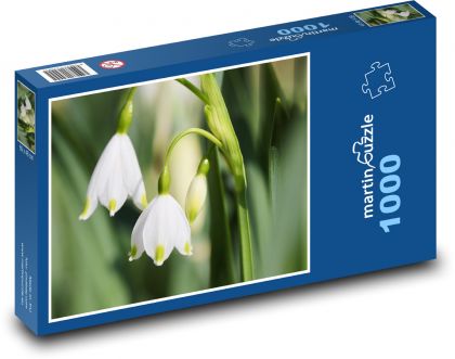 Blüte - Frühlingsblume, Pflanze - Puzzle - 1000 Teile