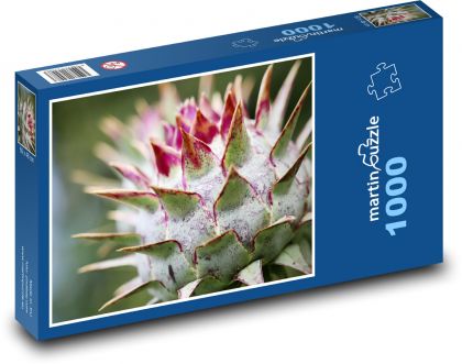 Artičok - rastlina, pichľavý - Puzzle 1000 dielikov, rozmer 60x46 cm