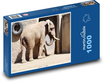 Słoń afrykański - duże zwierzę, zoo - Puzzle 1000 elementów, rozmiar 60x46 cm