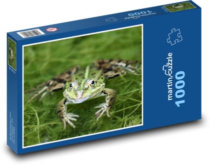 Green frog - aquatic animal, animal - Puzzle 1000 pieces, size 60x46 cm 