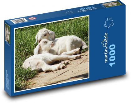 Kůzlata - koza, zvířata - Puzzle 1000 dílků, rozměr 60x46 cm