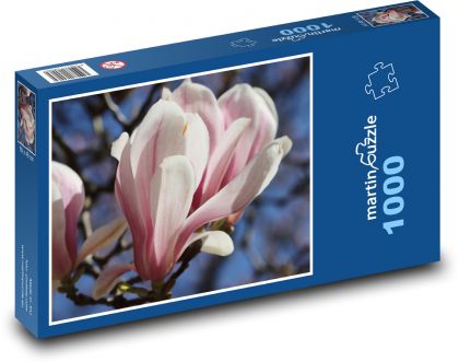 Blume Magnolie - Pflanze, Frühling - Puzzle - 1000 Teile