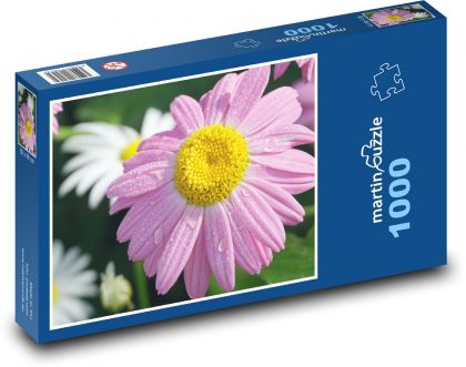 Chryzantema - różowy kwiat, kwiat - Puzzle 1000 elementów, rozmiar 60x46 cm