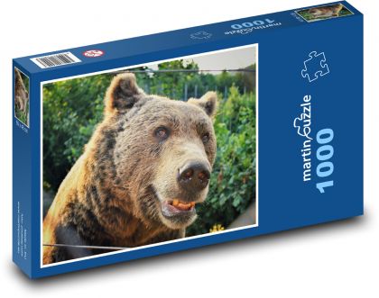 Medvěd - zvíře, zoo - Puzzle 1000 dílků, rozměr 60x46 cm