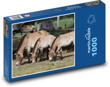 Das Pferd, das Tier Puzzle 1000 Teile - 60 x 46 cm