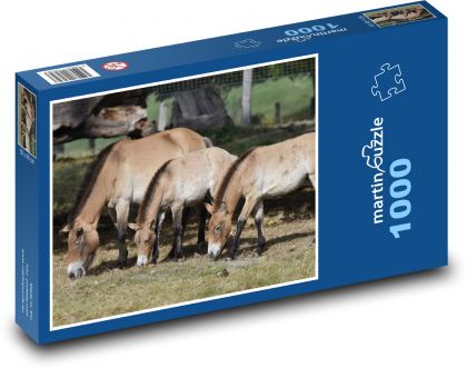 Das Pferd, das Tier - Puzzle - 1000 Teile