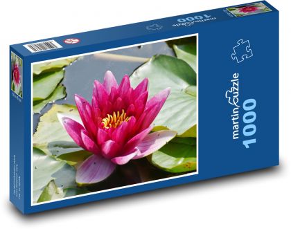 Leknín - květ, rybník - puzzle 1000 dílků