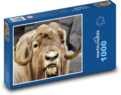 Pižmoň - rohy, zvíře - Puzzle 1000 dílků, rozměr 60x46 cm