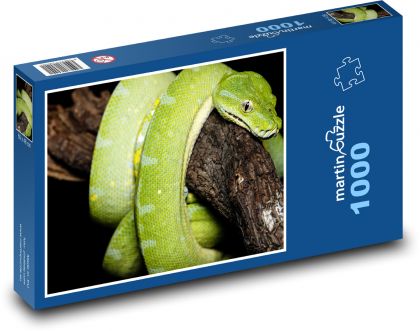 Snake - reptile, animal - Puzzle 1000 pieces, size 60x46 cm 