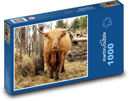 Cow - horns, farm - Puzzle 1000 pieces, size 60x46 cm 