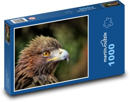 Eagle - bird, animal - Puzzle 1000 pieces, size 60x46 cm 