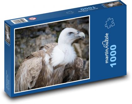 Vulture - bird, feather - Puzzle 1000 pieces, size 60x46 cm 