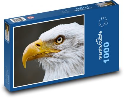 Bald eagle - bird, animal - Puzzle 1000 pieces, size 60x46 cm 