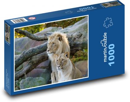 Big cats - lion, lioness - Puzzle 1000 pieces, size 60x46 cm 