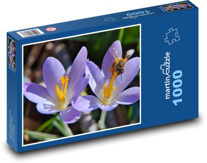 Krokusy - květ, včela - Puzzle 1000 dílků, rozměr 60x46 cm