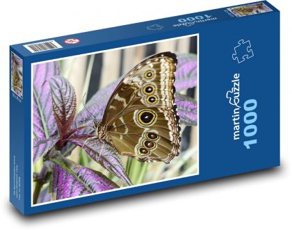Motýl - hmyz, rostliny  - Puzzle 1000 dílků, rozměr 60x46 cm